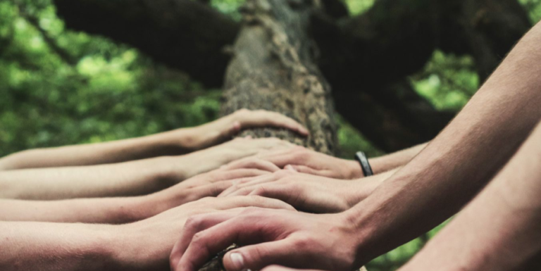 Family Constellations workshop showing the Knowing Field and Morphic Resonance.
