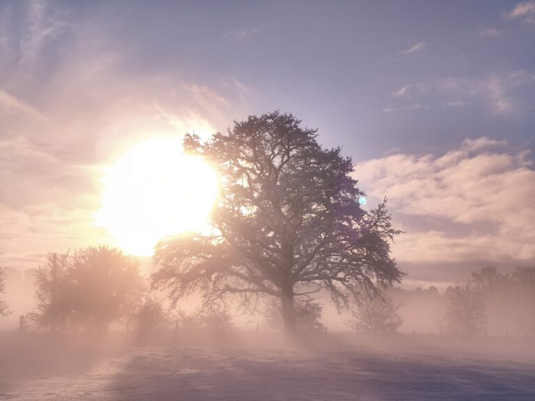 Family Constellations, Mother and Success